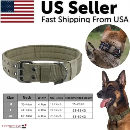 2" Wide Tactical Dog Collar