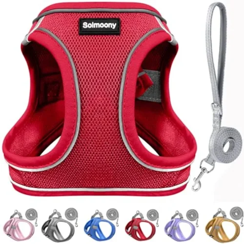 Sparkly Medium Dog Harness and Leash Set